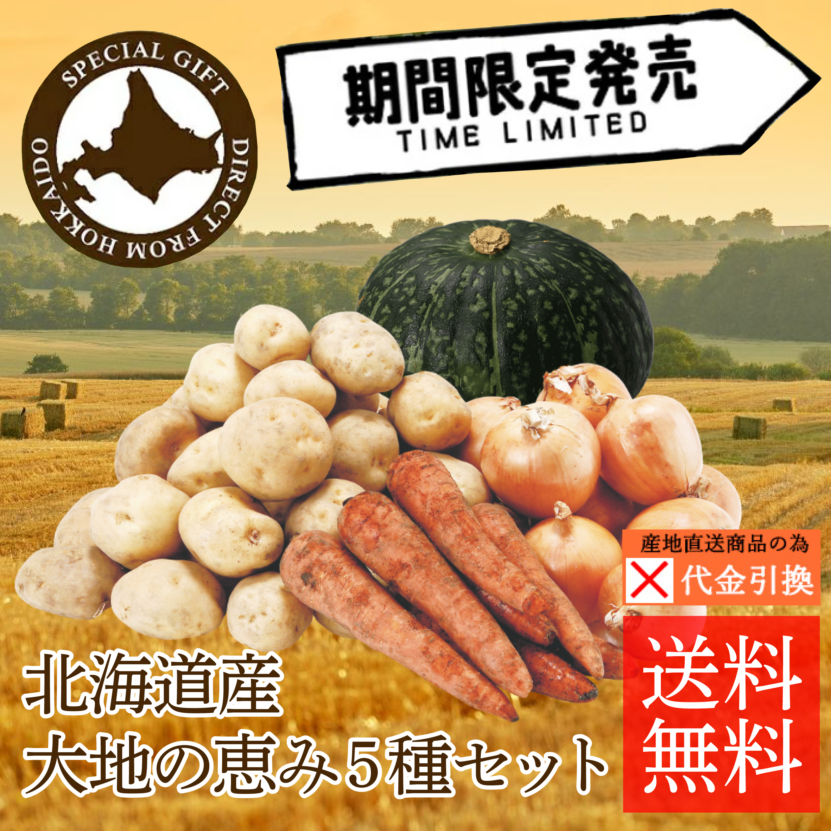 ☆好評予約受付中☆【代引不可】【送料込】【数量限定】北海道産大地の恵み５種セット【10月中旬頃から順次発送】【出荷日・配達日指定不可】