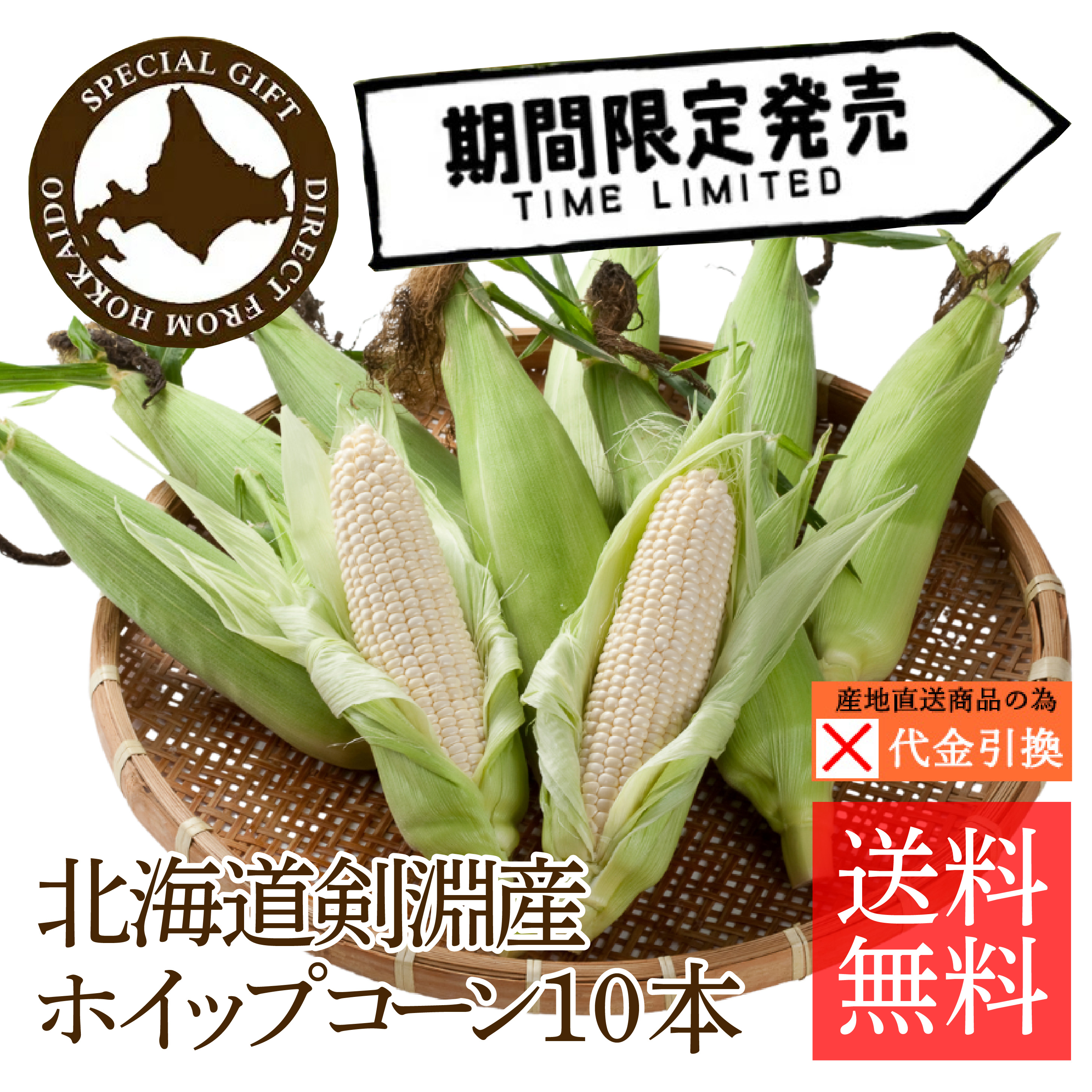 ☆好評予約受付中☆【送料込】【代引不可】北海道剣淵町産とうもろこし　ホイップコーン１０本【お届け日指定不可】【発送期間：8月上旬頃から順次】