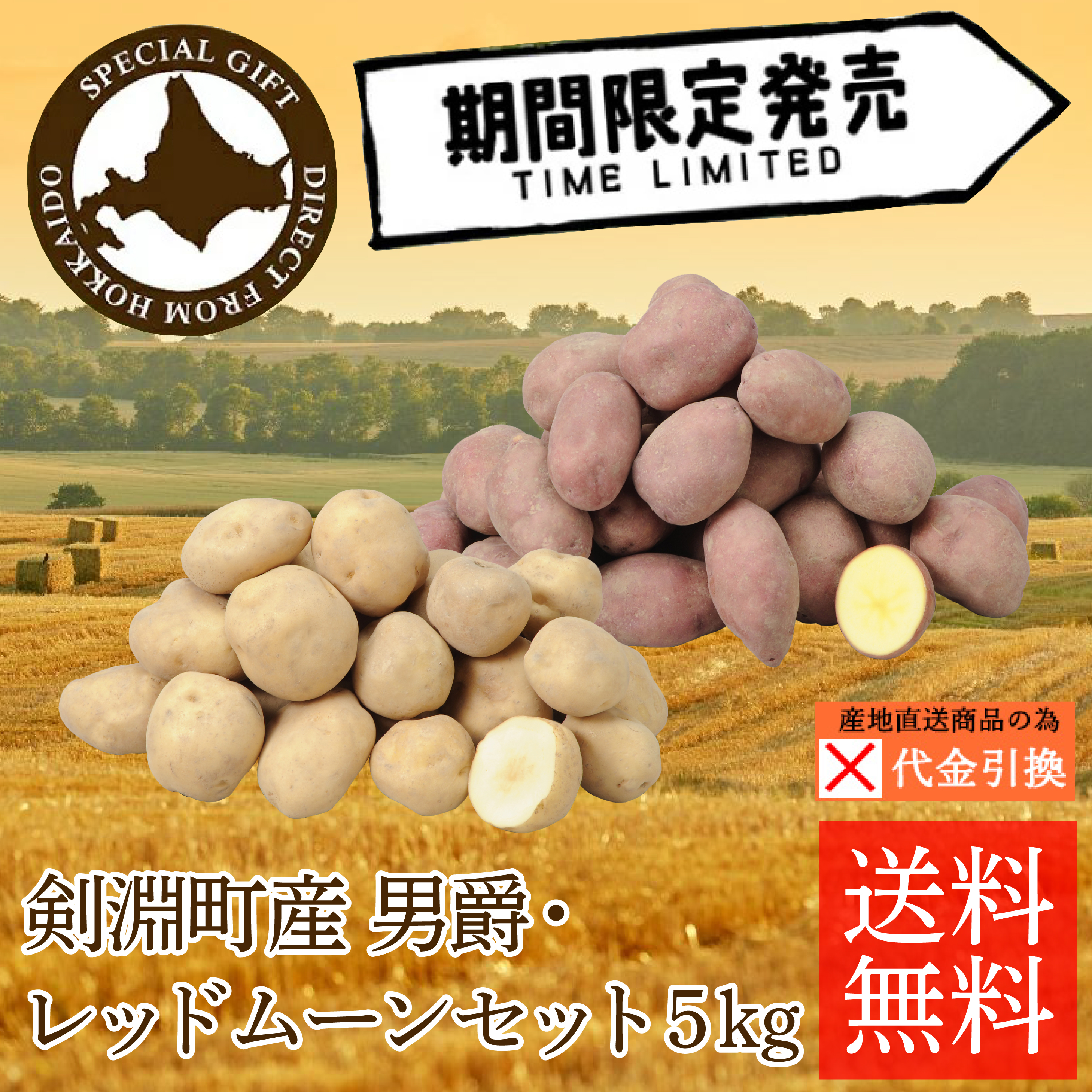☆好評予約受付中☆【代引不可】【送料込】【数量限定】剣淵産男爵・レッドムーン５㎏【10月中旬頃から順次発送】【出荷日・配達日指定不可】