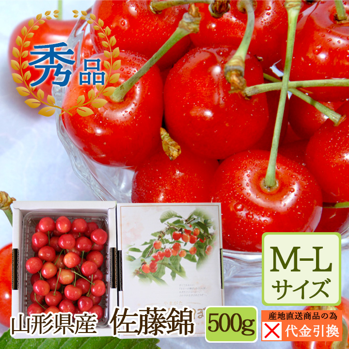 ☆好評予約受付中☆【代引不可】【送料込】山形県産さくらんぼ　佐藤錦約５００ｇ【発送期間：６月下旬から7月上旬】【お届け日指定不可】