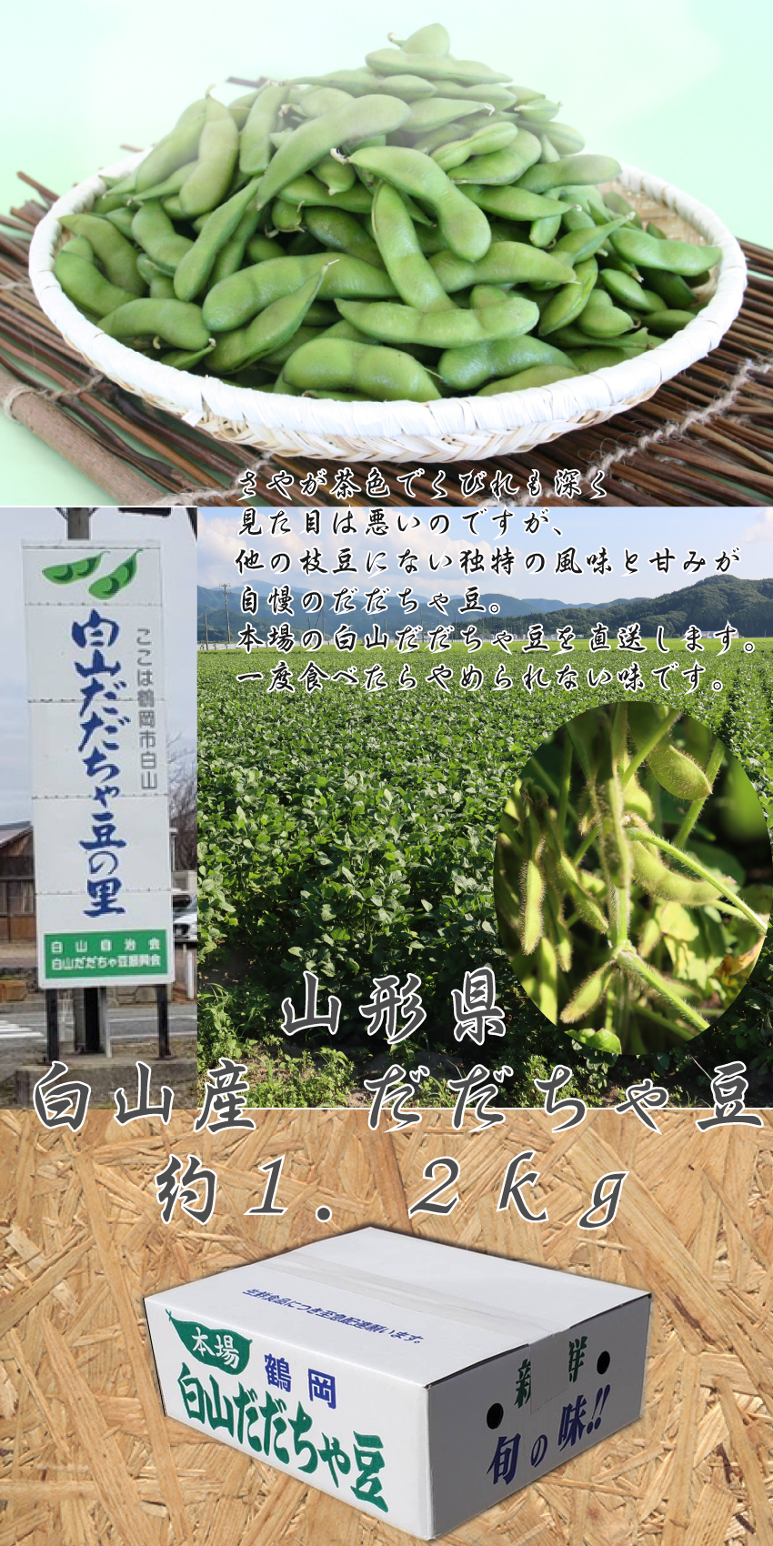 ☆好評予約受付中☆【代引不可】【送料込】山形県白山産だだちゃ豆１．２ｋｇ【発送期間：８月中旬から8月下旬】【お届け日指定不可】