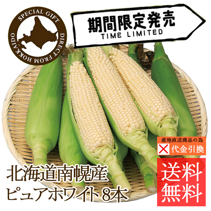 ☆好評予約受付中☆【送料込】【代引不可】北海道南幌町産とうもろこし　ピュアホワイト８本【お届け日指定不可】【発送期間：8月上旬頃から順次】