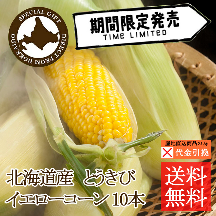 ☆好評予約受付中☆【送料込】【代引不可】北海道産とうもろこし（イエローコーン）１０本【お届け日指定不可】【発送期間：8月上旬頃から順次】