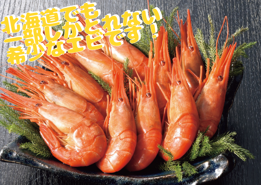 【送料込】【代引不可】厚岸産北海しまえび３００ｇ（ボイル）