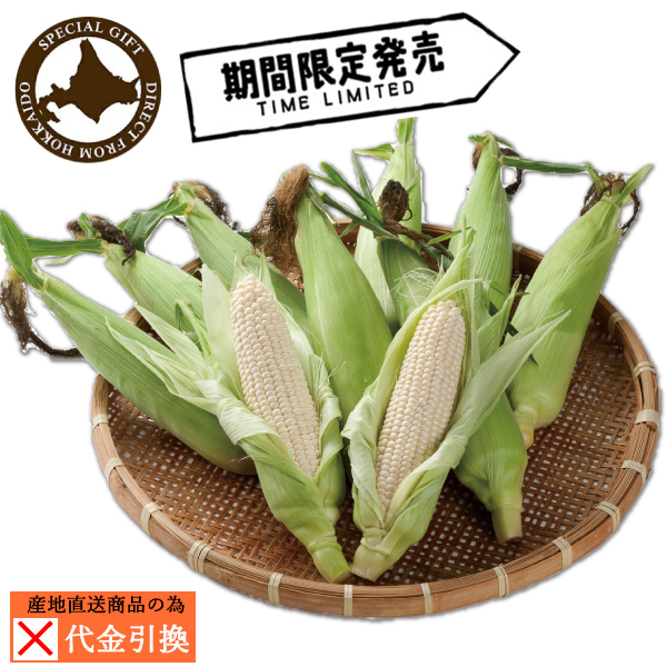 ☆好評予約受付中☆【送料込】【代引不可】北海道産とうもろこし（ホワイトコーン）１０本【お届け日指定不可】【発送期間：8月上旬頃から順次】