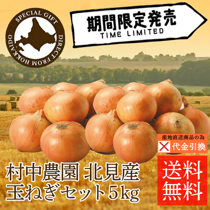 ☆好評予約受付中☆【代引不可】【送料込】【数量限定】北見産　玉ねぎ　５ｋｇ【10月中旬頃から順次発送】【出荷日・配達日指定不可】
