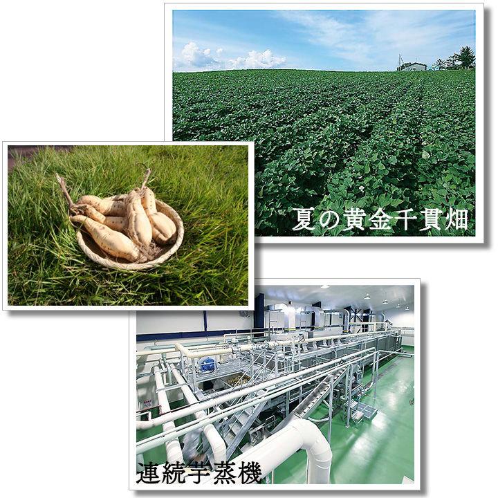 喜多里 25°さつま芋 720ml 喜多里 25°さつま芋 720ml