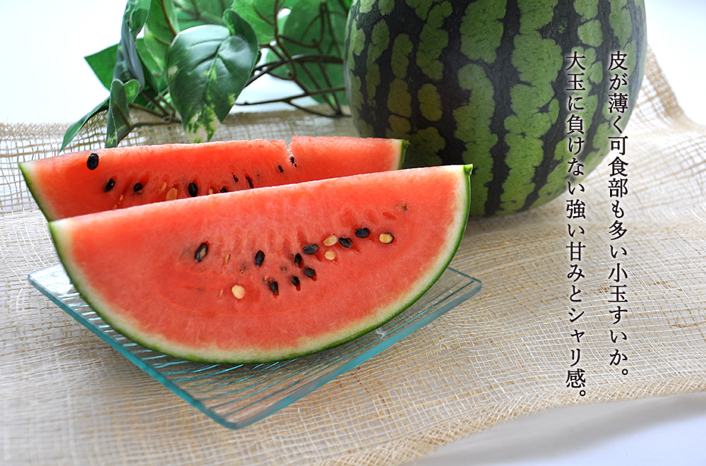 ☆好評予約受付中☆【代引不可】【送料込】山形県産小玉すいか　秀品　２玉（計約４ｋｇ）【発送期間：７月中旬から８月上旬】【お届け日指定不可】